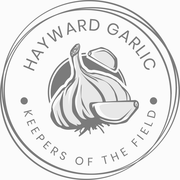 Hayward Garlic