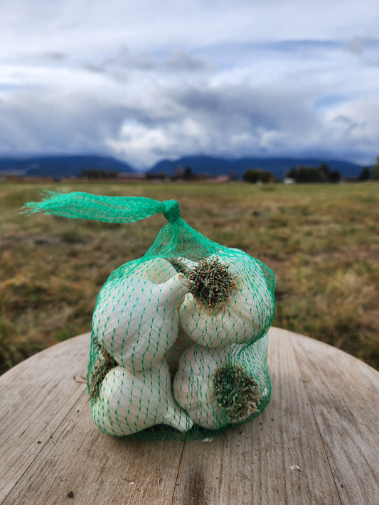 culinary garlic hardneck usa grown stevensville montana preium quality stores well robust flavor